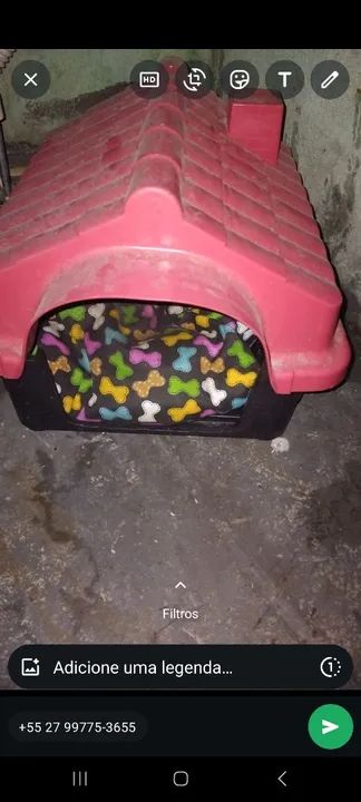 Casinha para Cães Pequenos