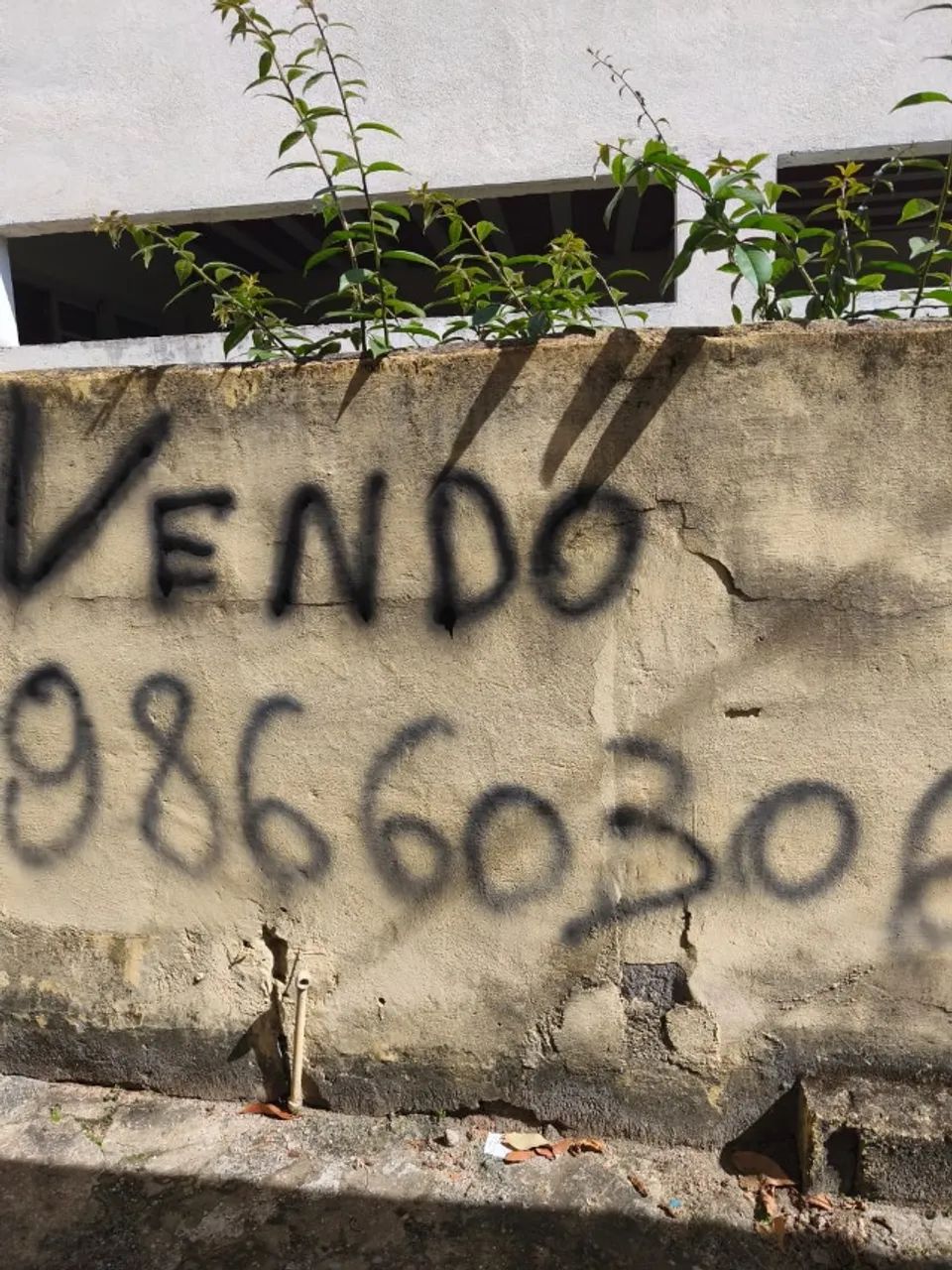 Foto - Rio de Janeiro - Magalhães Bastos