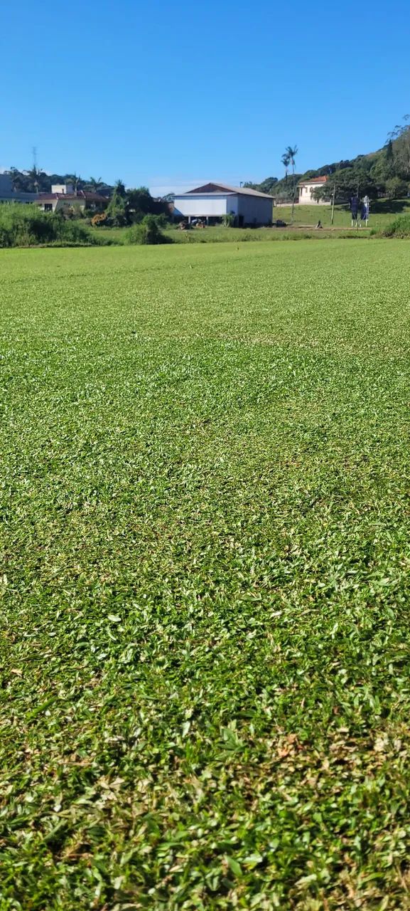 Venda de grama São Carlos Plus - Foto 6