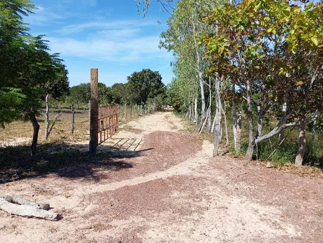 Fazenda à venda em Lagoa do Tocantins - TO | 96,13 hectares - Foto 2