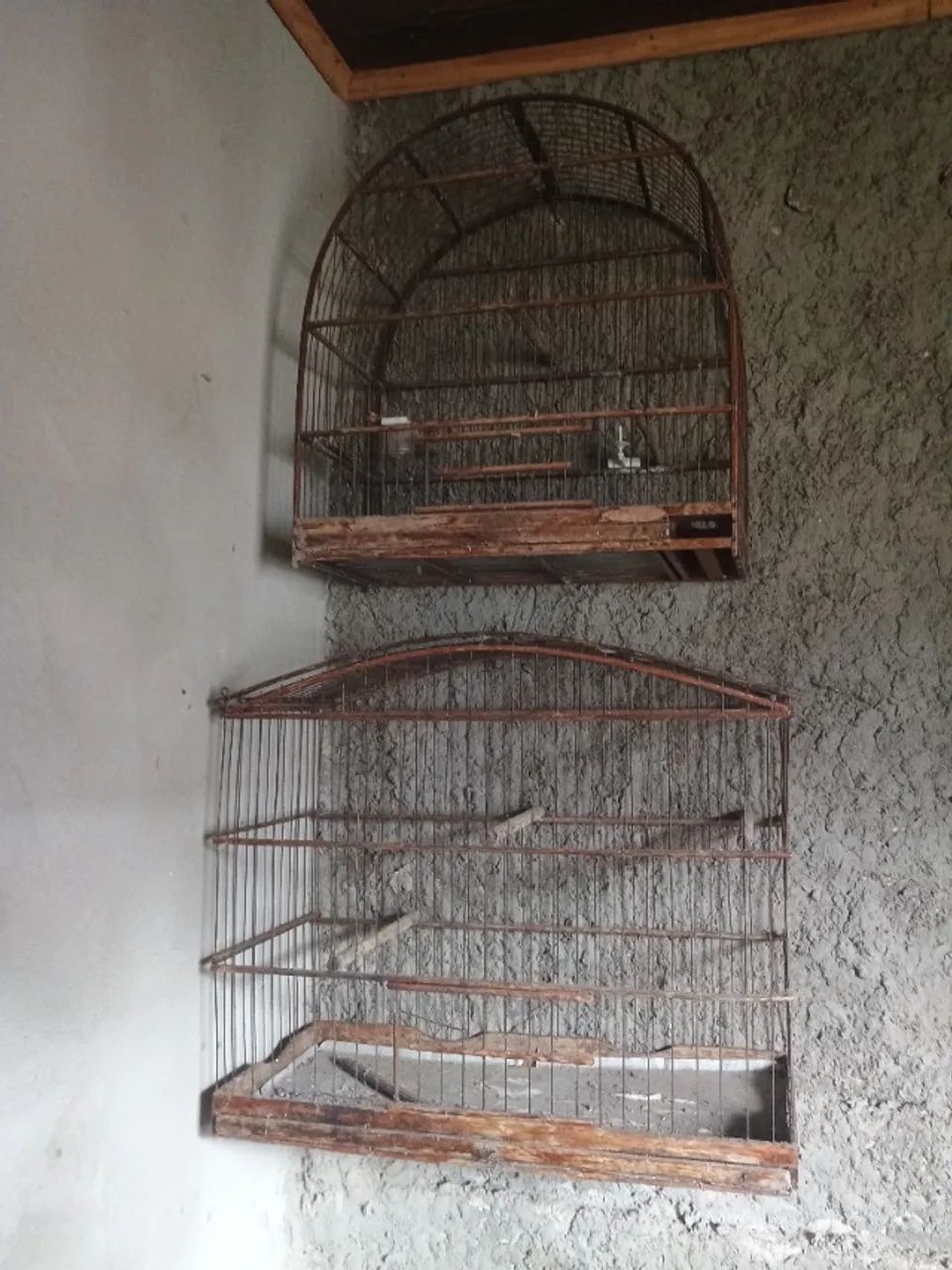 Cages 64166871023361121