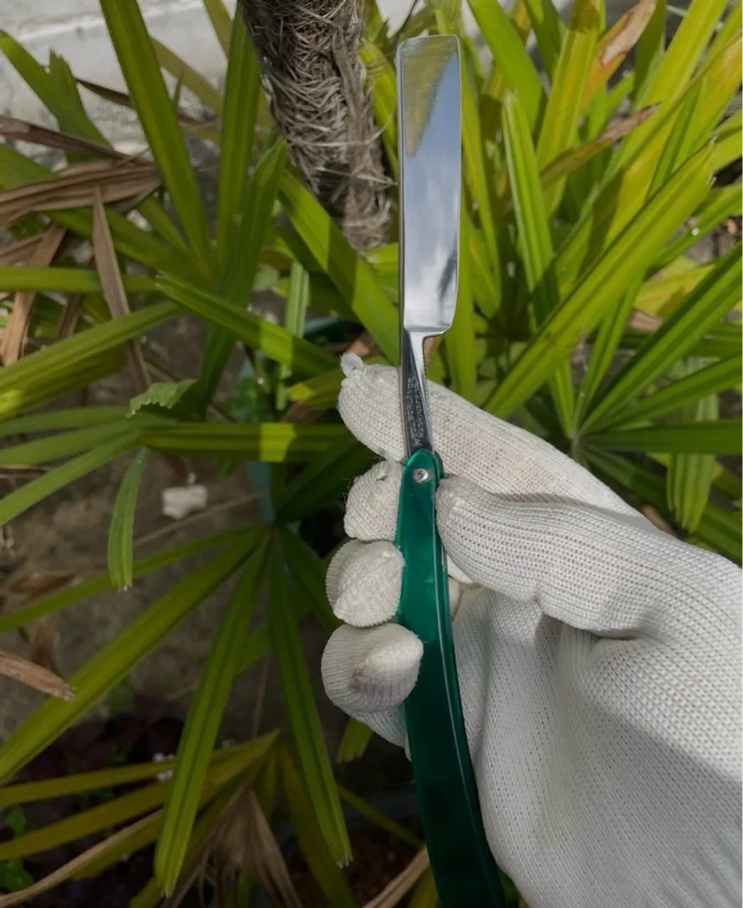 Navalha Bengal Wedge - Foto 2