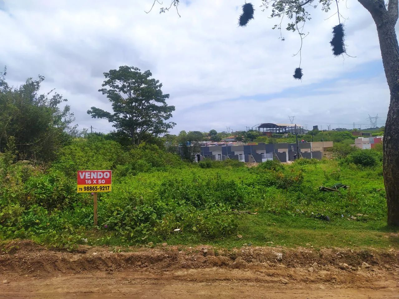 Foto - Nossa Senhora do Socorro - 