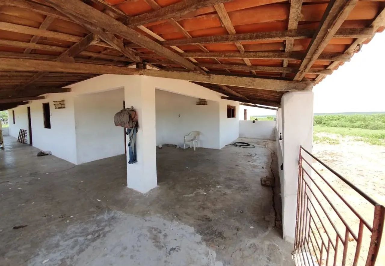 fazenda com 562 hectares na região de Afonso Bezerra terra boa de água e plana