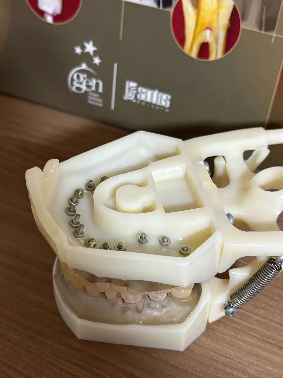 Manequim Odontológico  - Foto 4