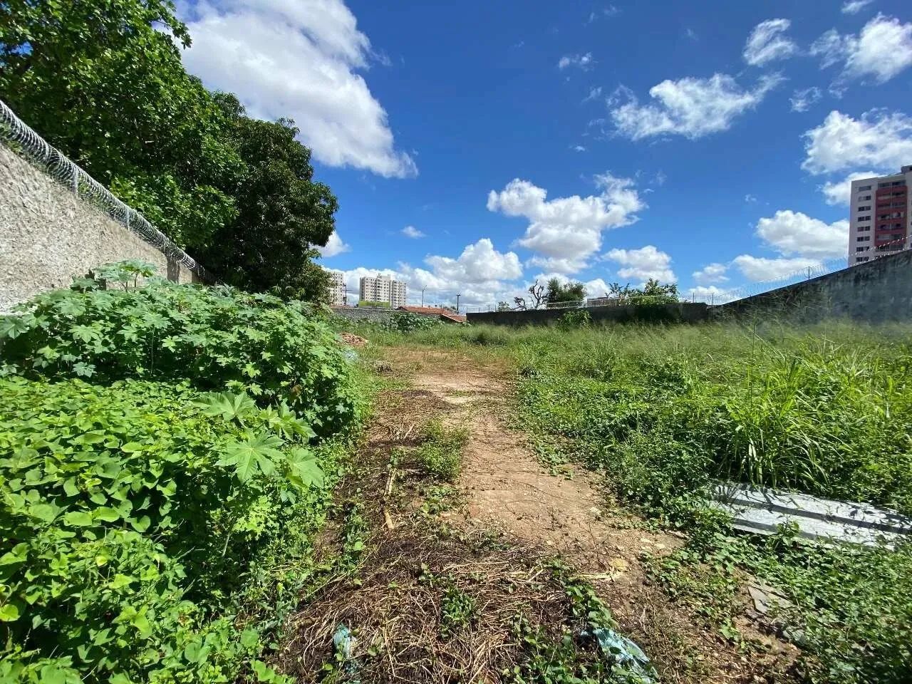 Terreno - Aluguel - Foto 2