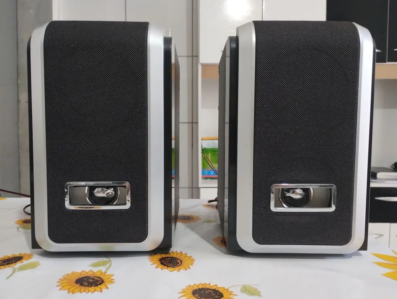 Stylish and Powerful Speaker Boxes Baffes/Speaker