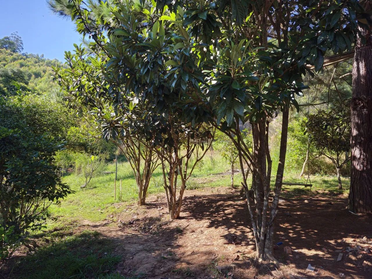 Vendo chácara em Salesópolis SP  - Foto 10