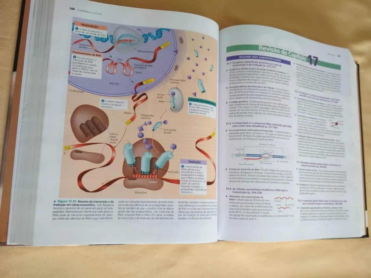 Livro Biologia Campbell Reece - Foto 4