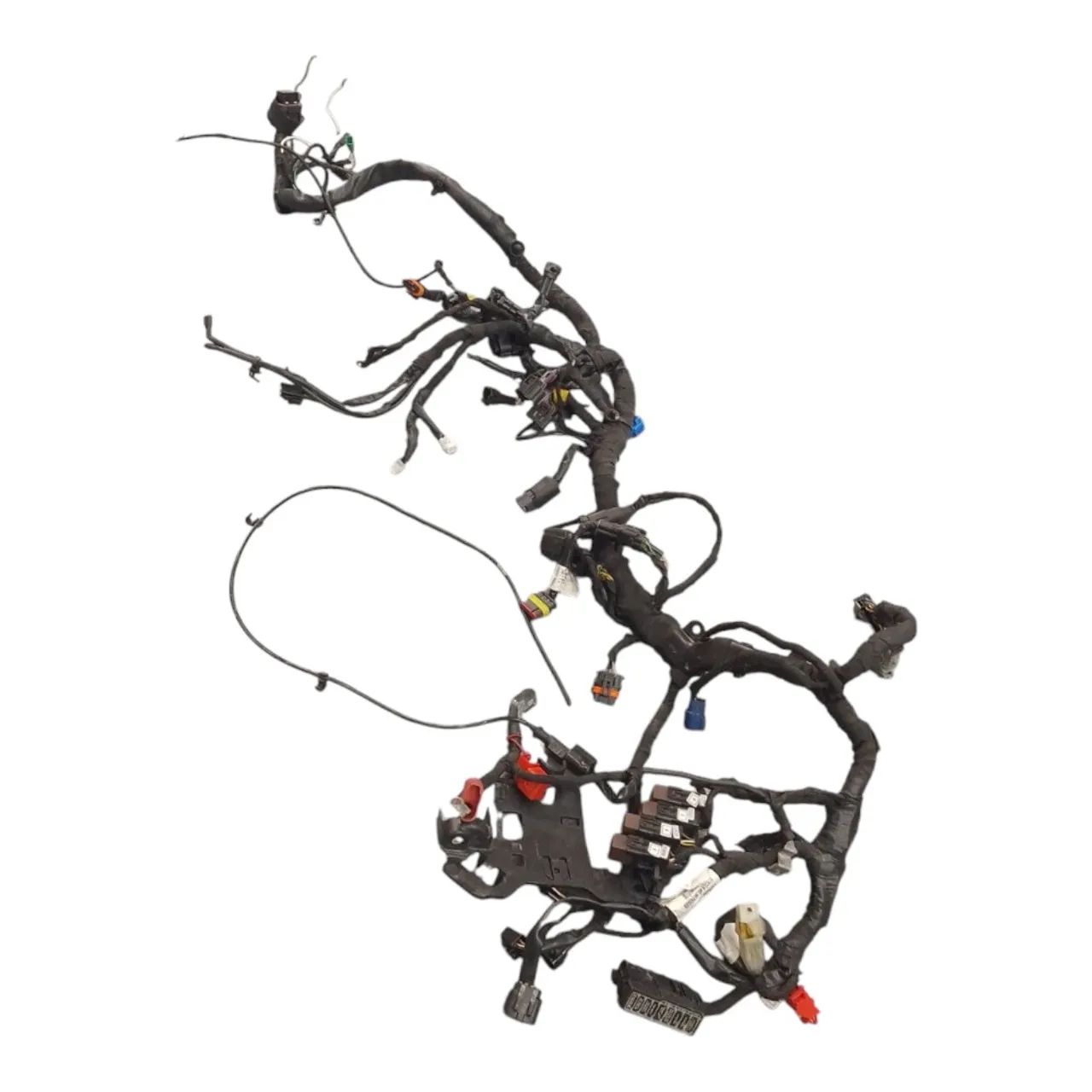 Chicote Principal Triumph Scrambler 400x 2023/2024 - Peças para