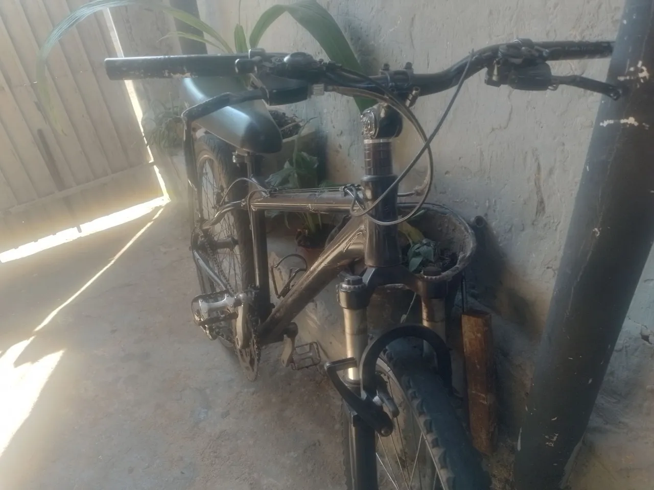 Bicicleta para Hobbies e Coleções