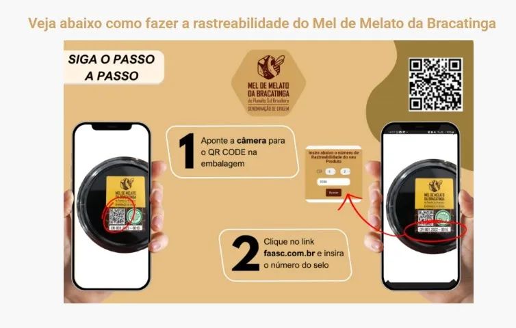 Mel De Melato De Bracatinga Molimel 780g - Foto 2