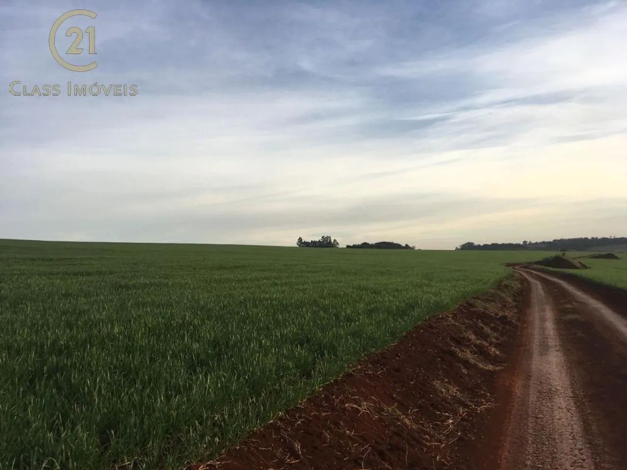 Sítio à venda em Marilândia do Sul, Centro, com 200 m² - Foto 5