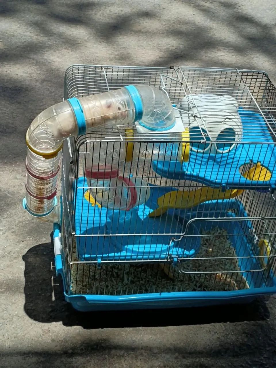 Vende-se Hamster  - Foto 3