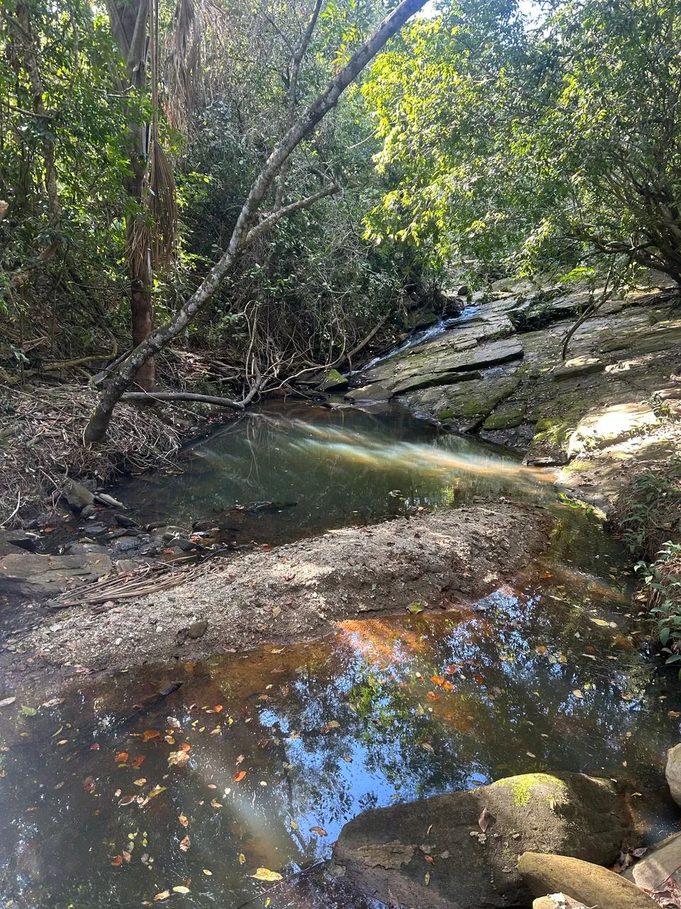 A venda - Chácaras -cristianopolis _Go  - Foto 2