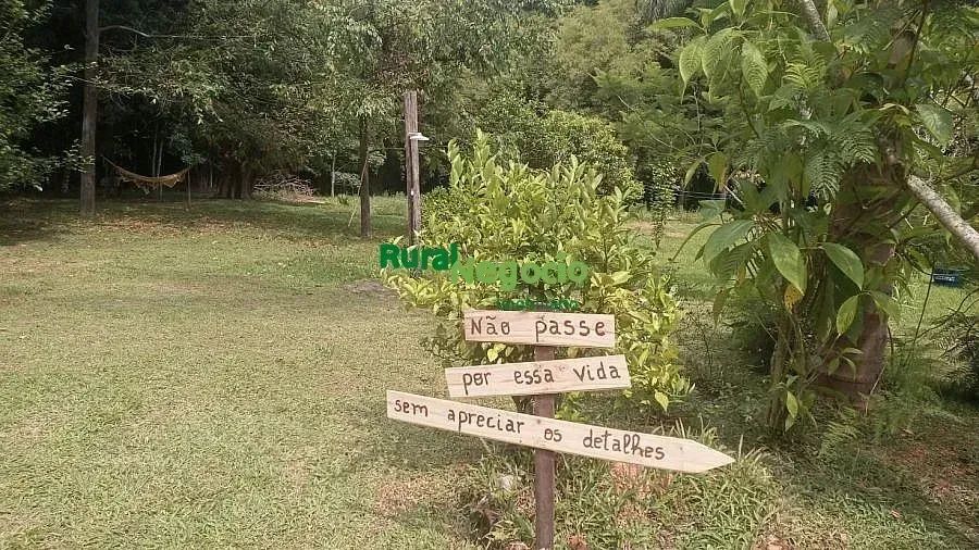 SÍTIO FORMADO COM RIO DE AGUAS CRISTALINA EM ITAMONTE-MG - Foto 3