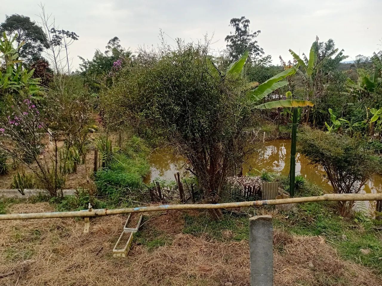 Chacara na Volta Fria Suzano - Foto 4