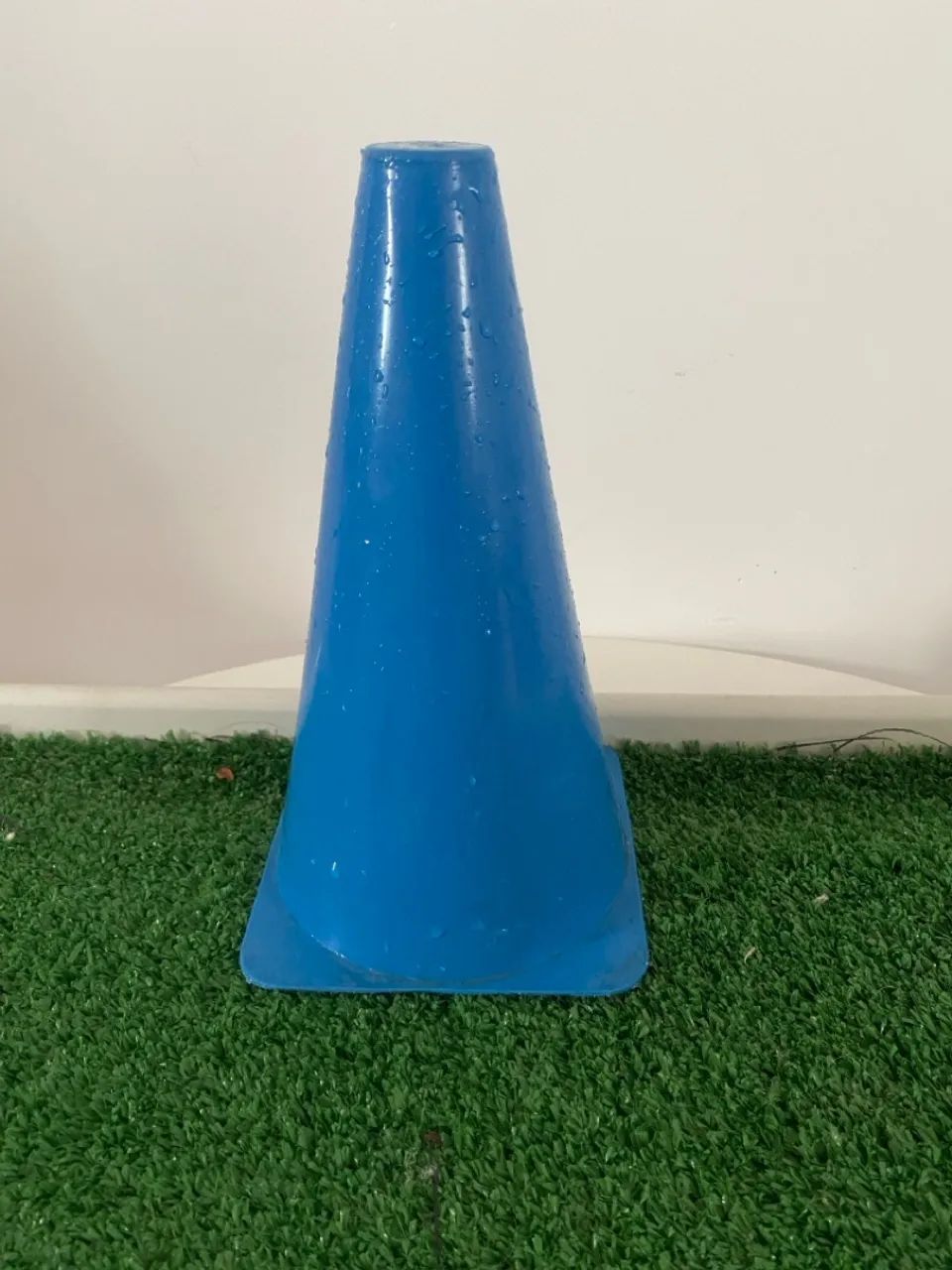 Banheiro pra Pet  - Foto 5