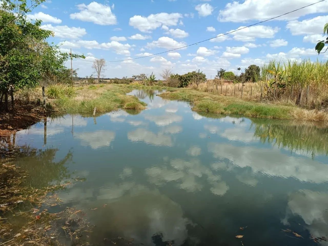 Chácara 7.500m² Leopoldo De Bulhões / GO - Foto 2