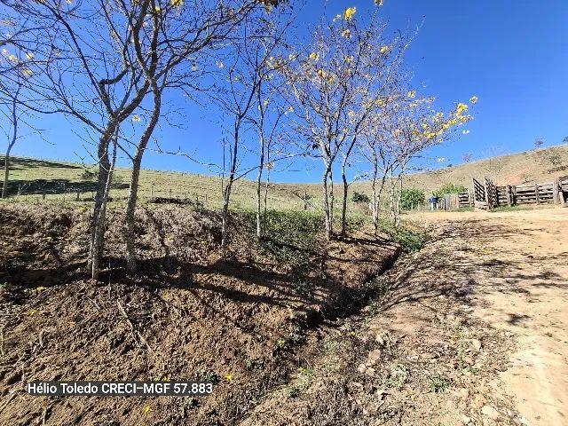 Lindo Sítio com 19 Hectares, localizado em Brazópolis/MG - Foto 5