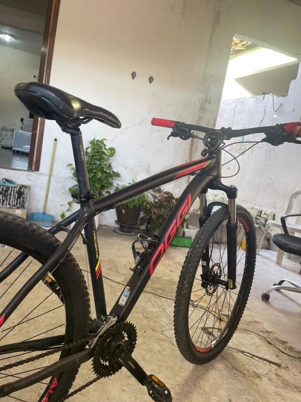 Bike Oggi - Foto 5