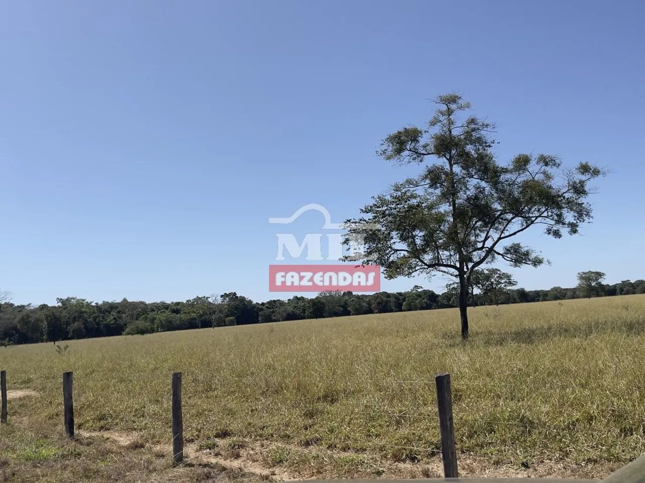 Fazenda em Nova Crixas-GO de 140 Alqueires - Foto 5