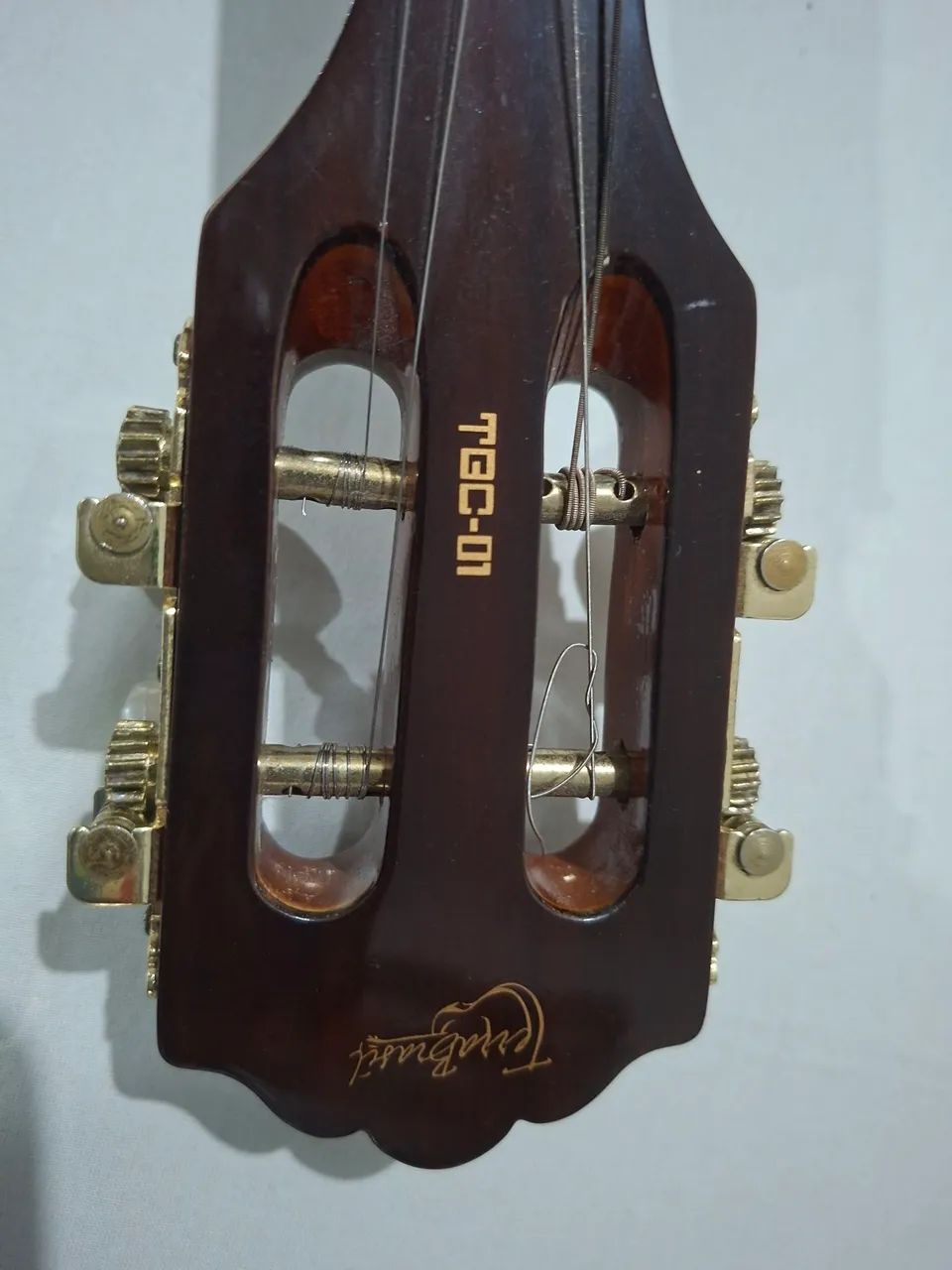 Cavaquinho Tgc01 Terra Brasil - Instrumentos musicais - Vila