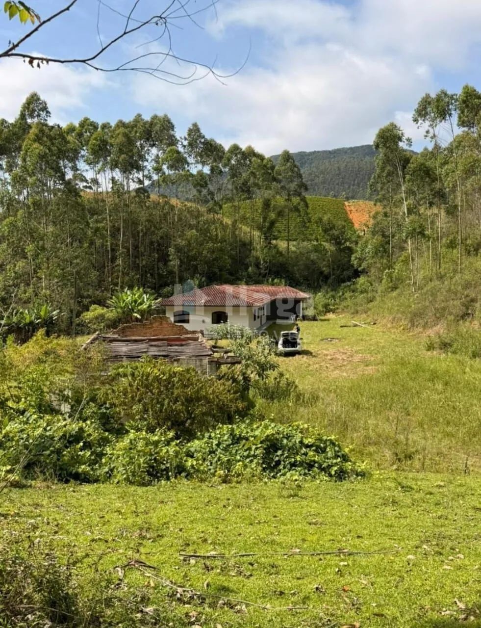 Sítio à venda em Leoberto Leal/SC - Foto 2