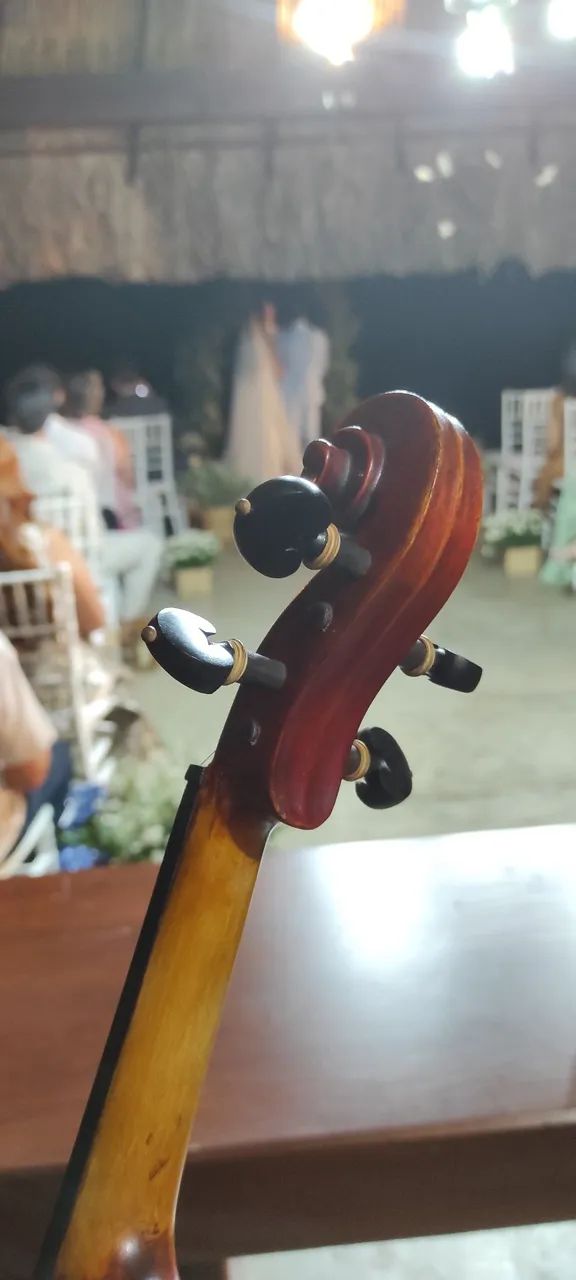 Violino | Violinista 