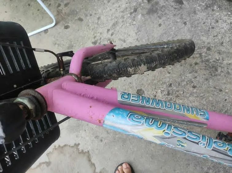 Bicicleta  - Foto 5