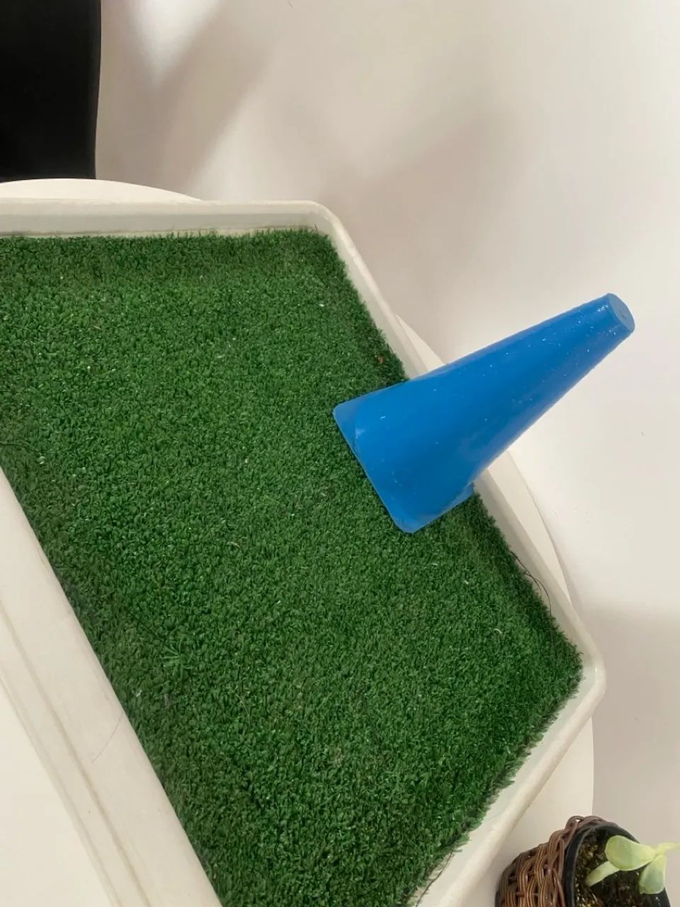 Banheiro pra Pet  - Foto 2