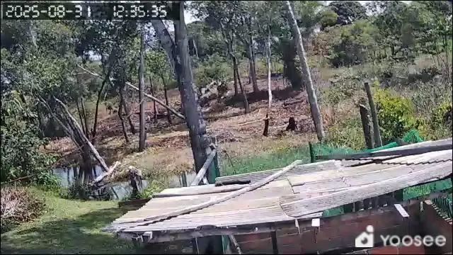 Vaga servente pratico, serviço em geral. - Foto 2