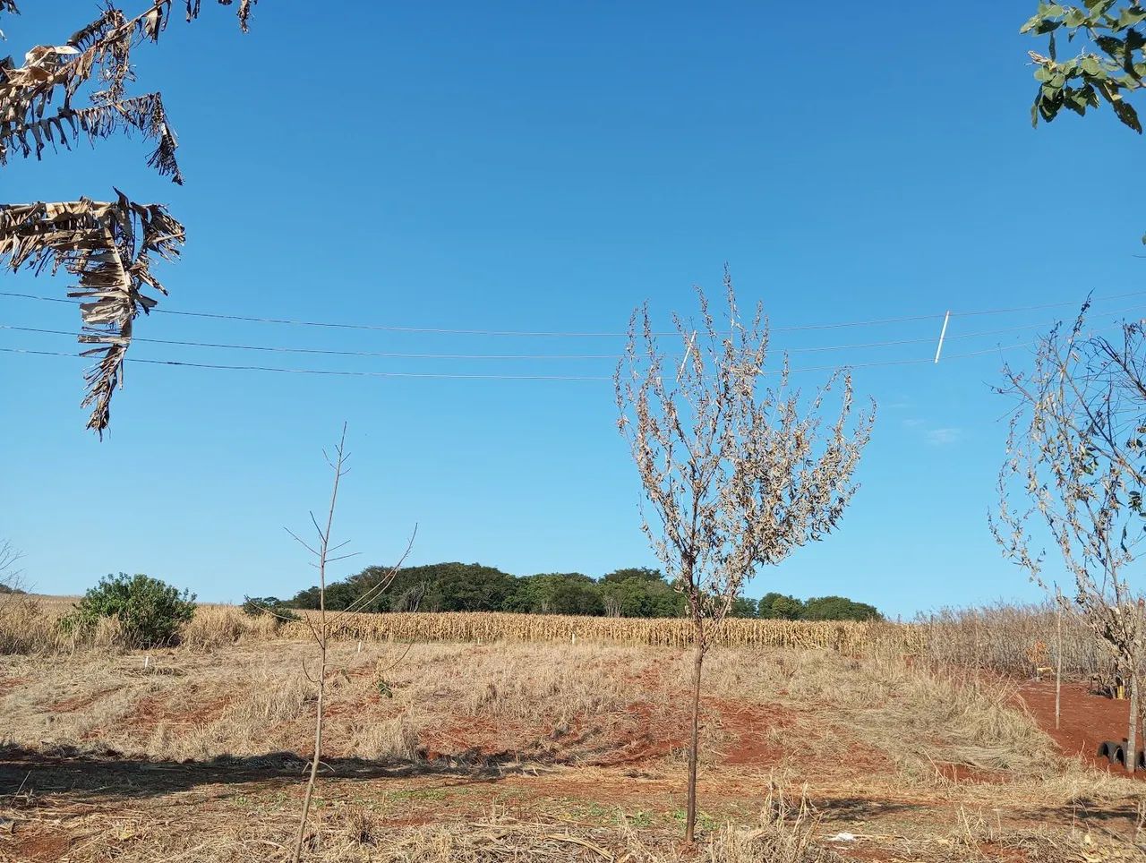 Foto - Arapongas - Jardim Colúmbia I