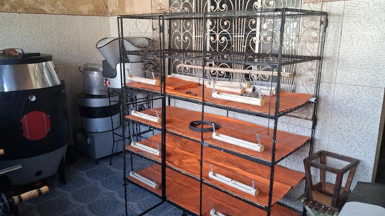 MINI ABATEDOURO DE FRANGOS