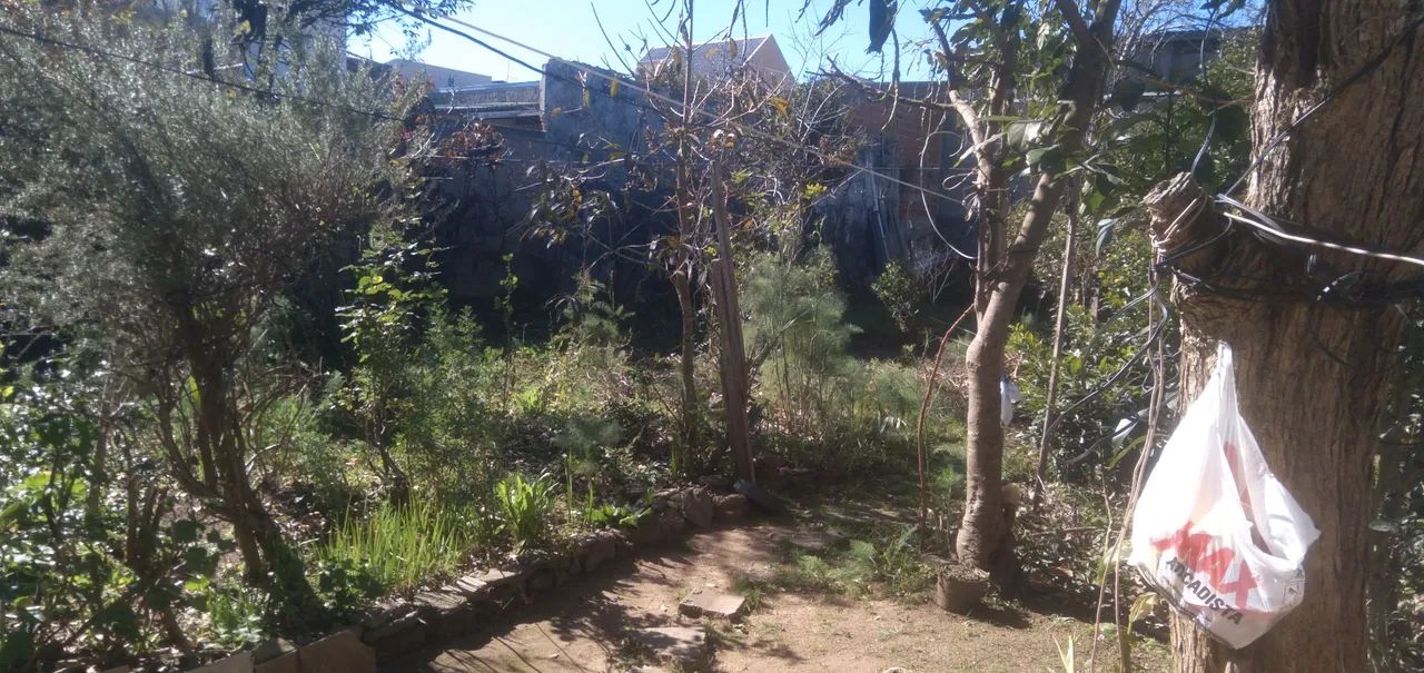 Jardineiro e marido de aluguel  - Foto 2