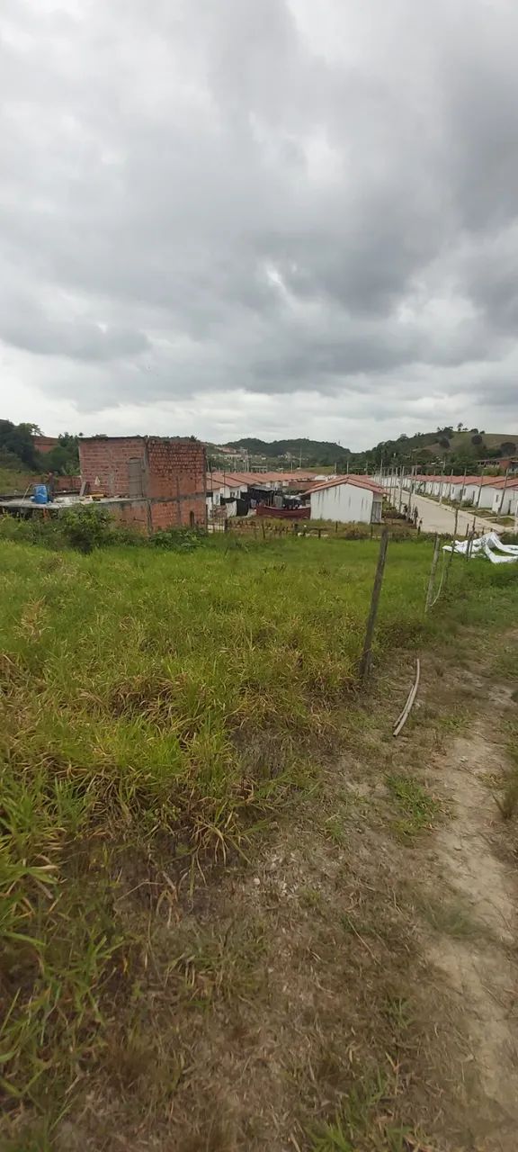 2 terrenos de 275,4m² - Foto 2