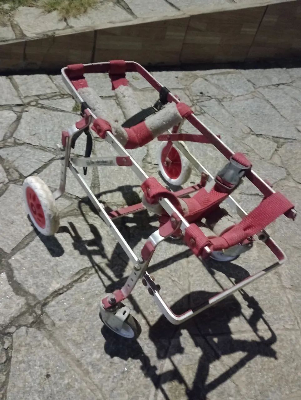 Andador pediátrico para cáes - Foto 2