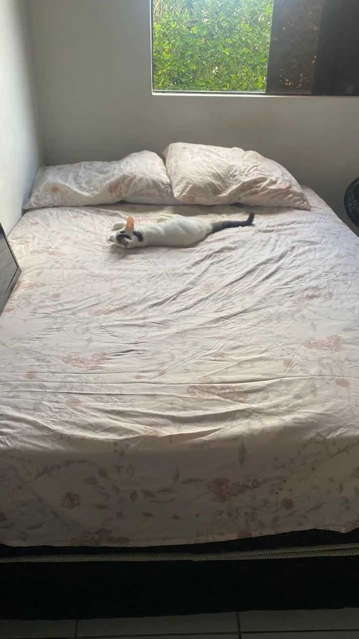 Cama de casal