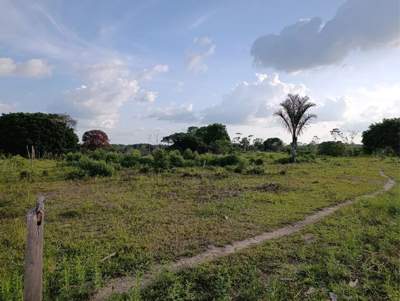Verde se uma fazenda  - Foto 5