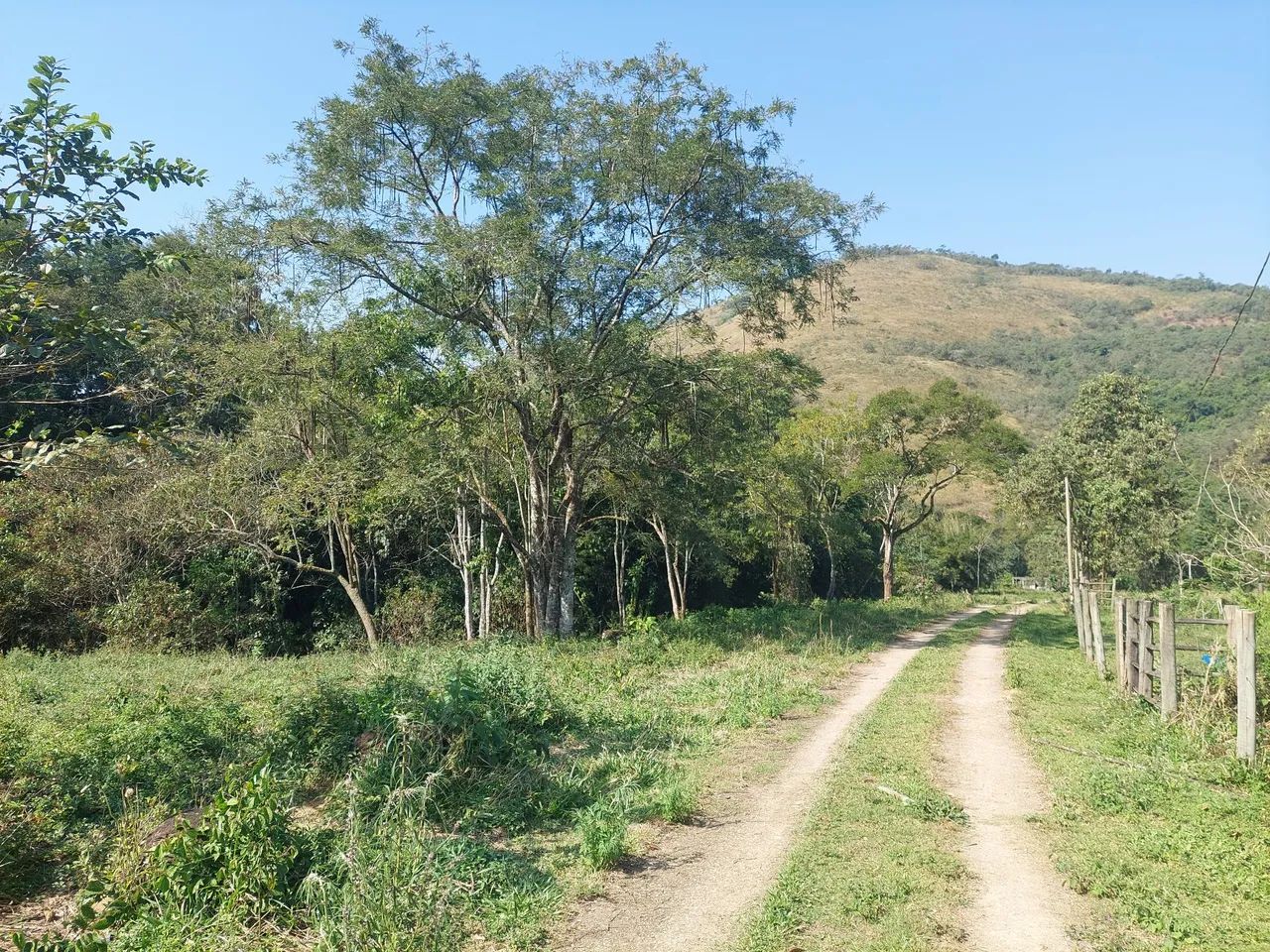 Sítio com muita água - Foto 2