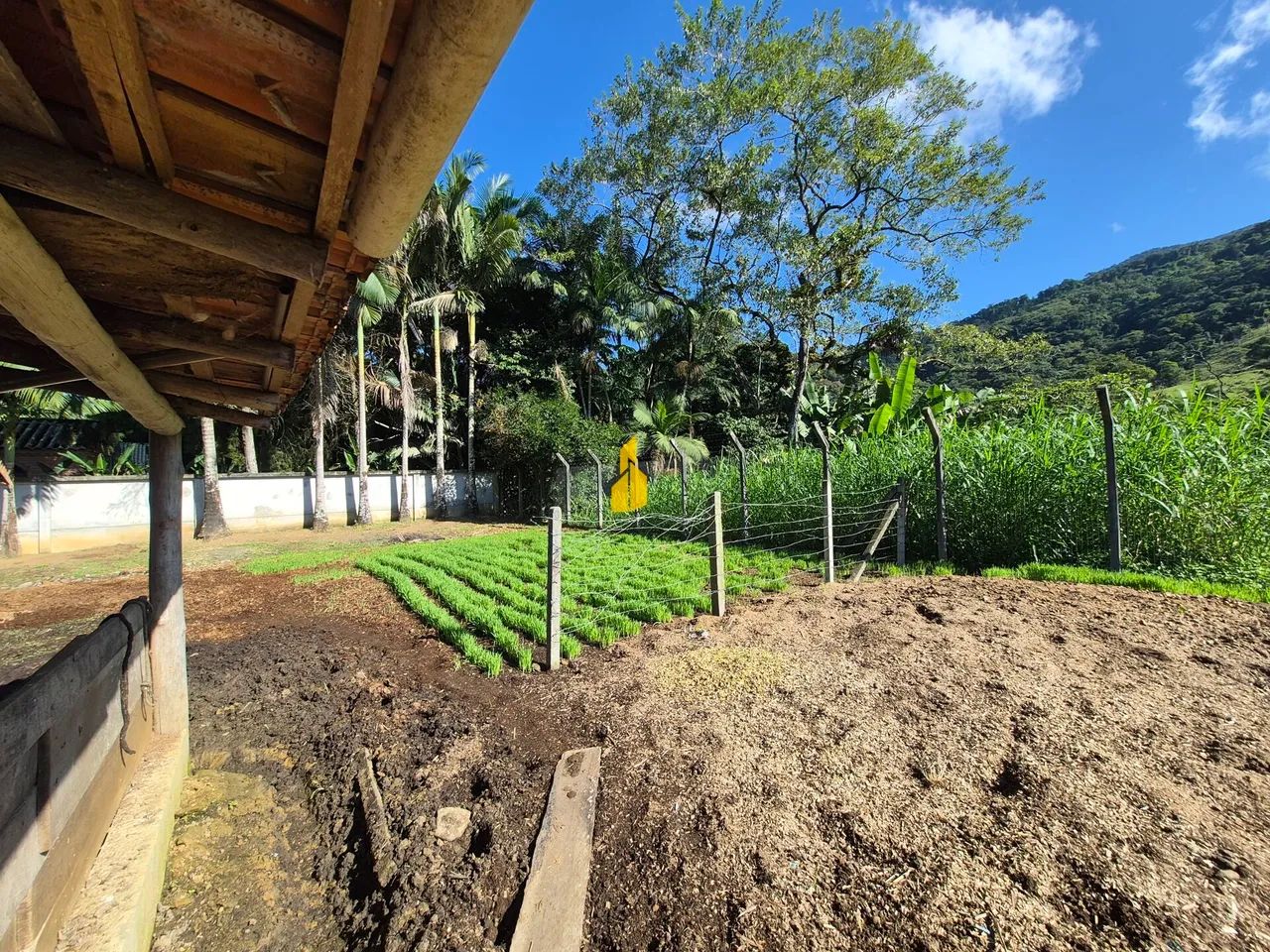 Casa com espaço para cavalos em Pomerode-SC - Foto 4