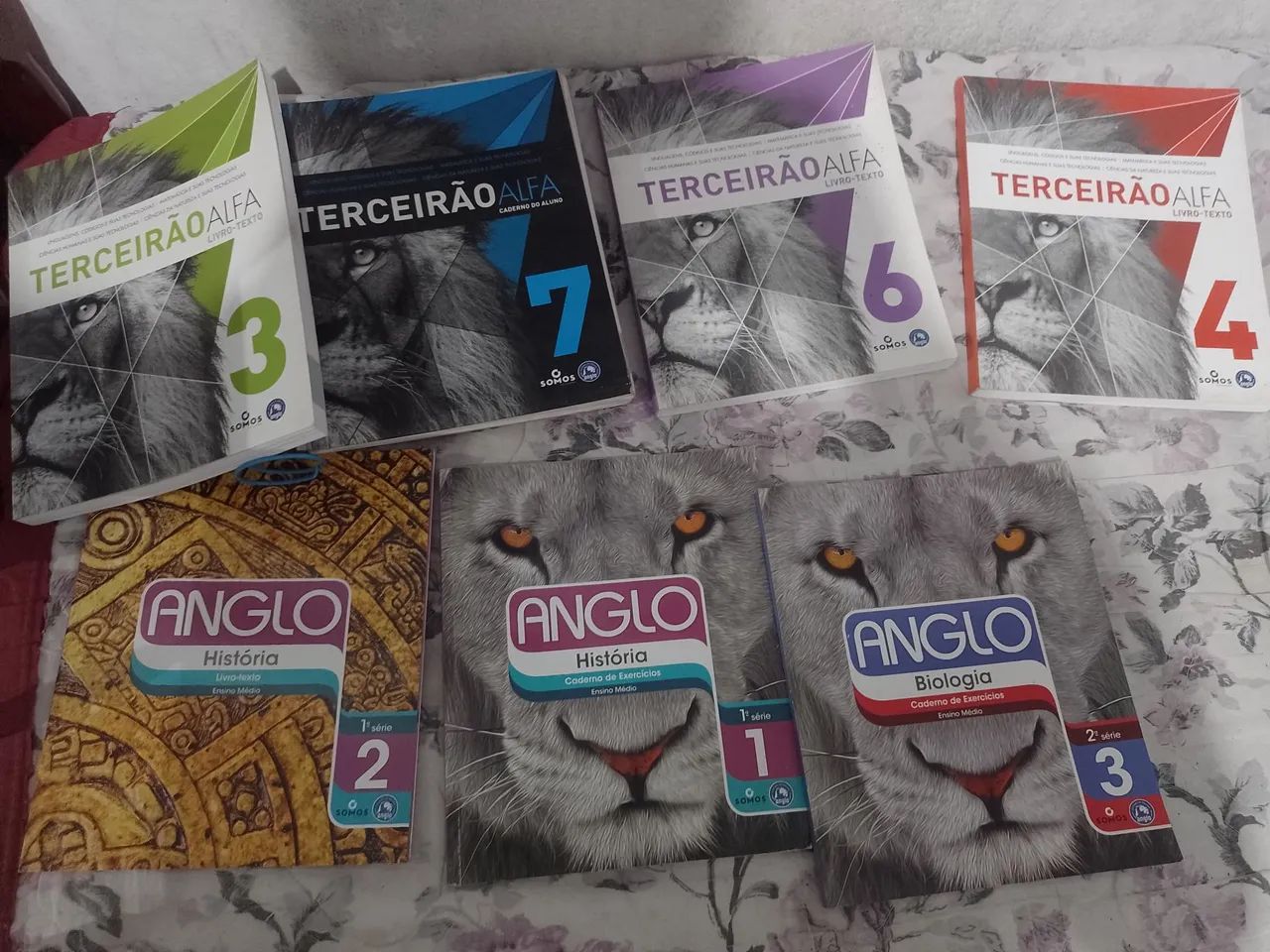 Livros anglo