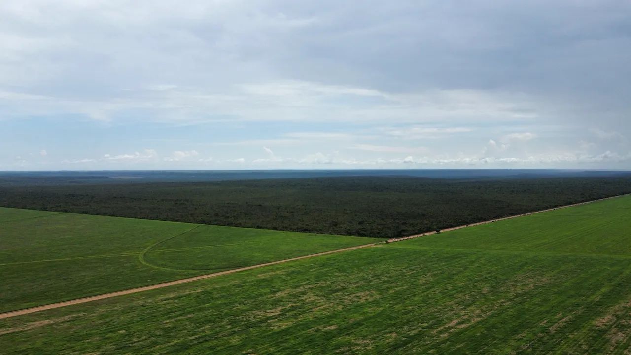 Fazenda em Correntina  - Foto 2