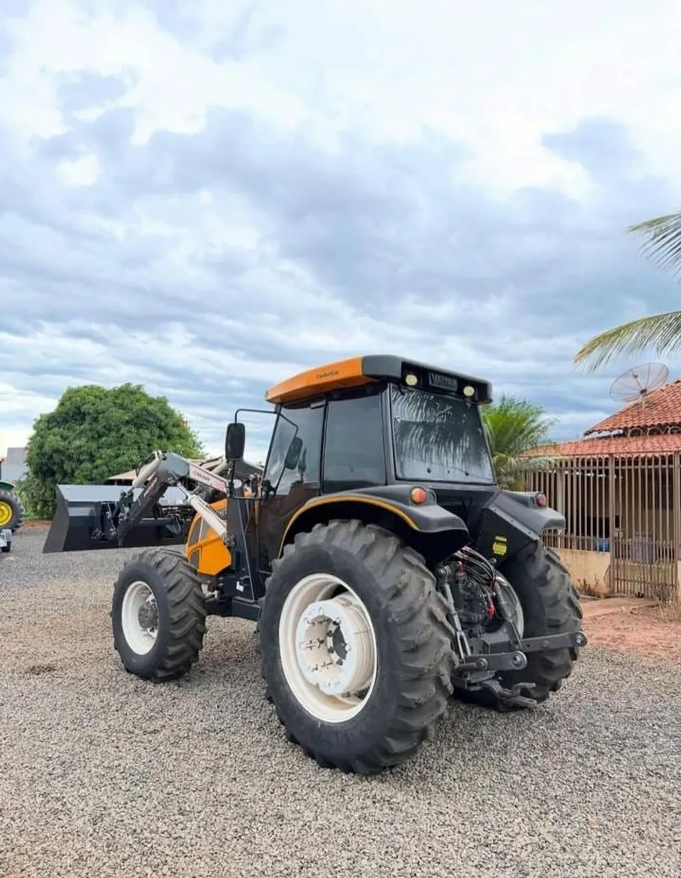 O companheiro fiel da lavoura - Foto 12