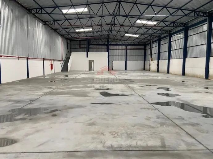 Pavilhão/Galpão Logístico em Curitibanos - Margem da BR - Foto 2