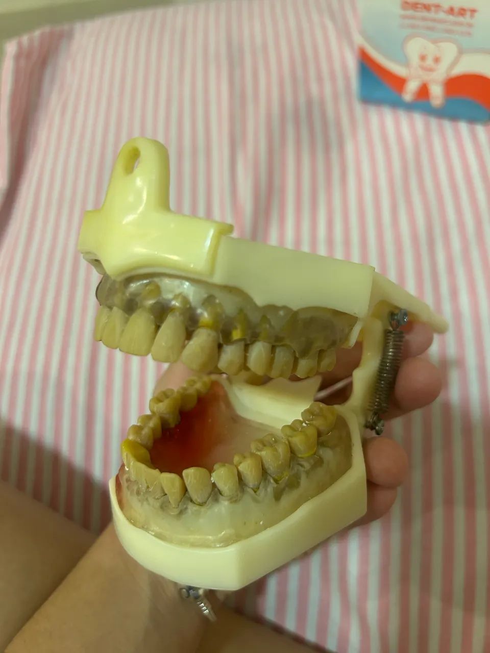 2 Manequins Odontológicos - Excelente Estado - Foto 5