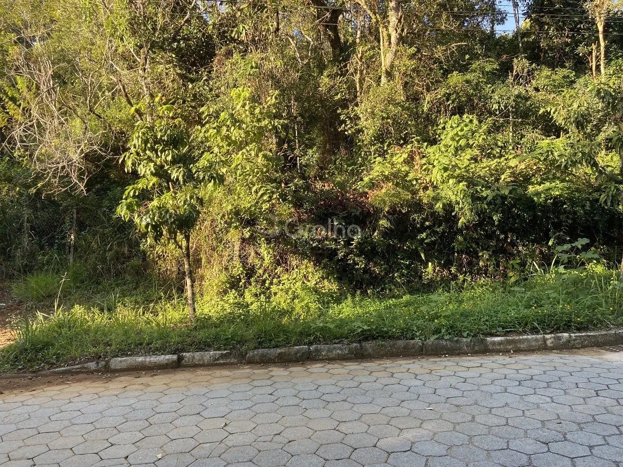 Terreno de 33.000 m² no Pantanal - Foto 3