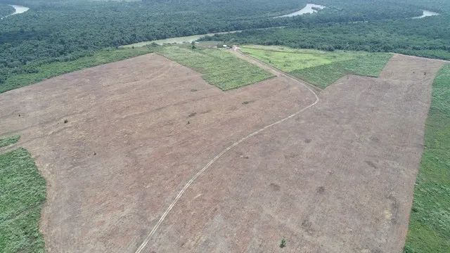 FAZENDA PARAGOMINAS RIO CAPIM - Foto 2