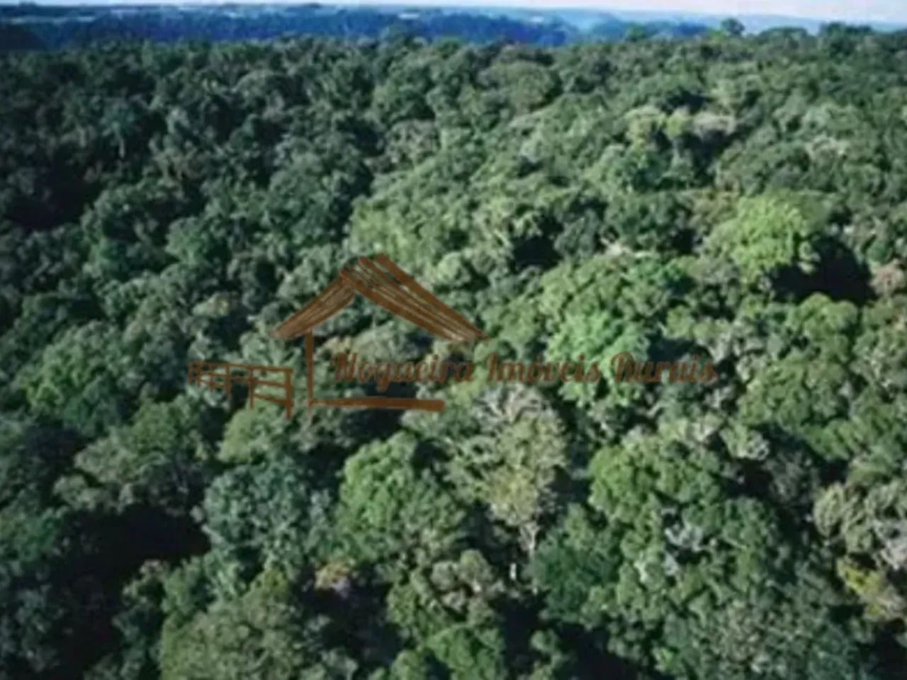 Fazenda com 320 alqueires com mata para reserva ambiental. - Foto 3