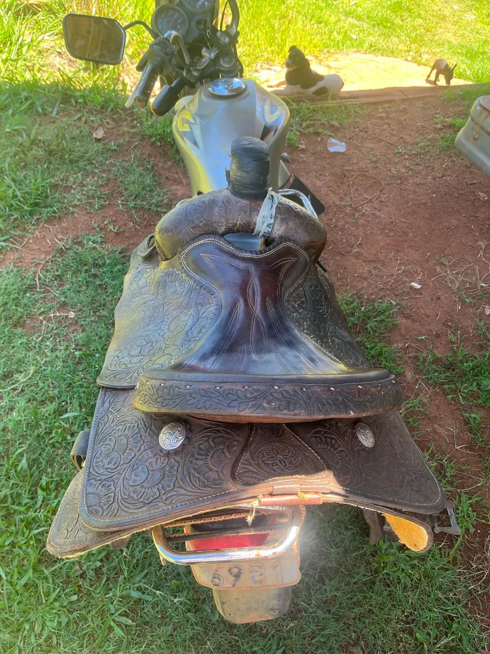 Sela de laço - Foto 5